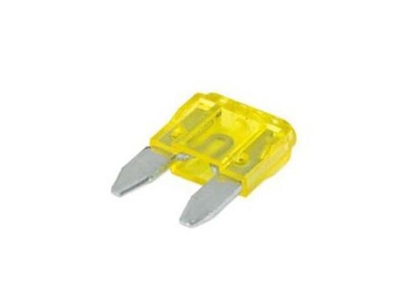 Quality Car Headlights Use Auto Blade Fuses Amp Rating Industry Standard Color Coding for sale