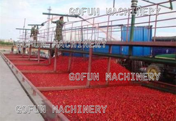 SS306 Complete Tomato Production Line 500kw Paste Concentration