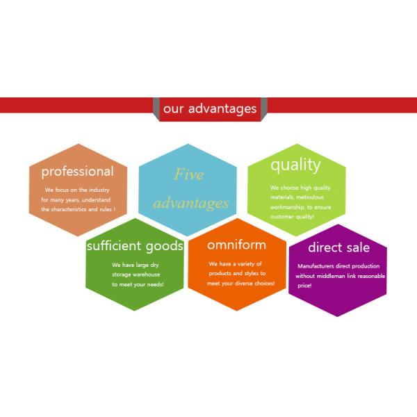 Multifunctional Wall Mounted Electric Boiler 220V 50Hz With 100m2 Heating Area