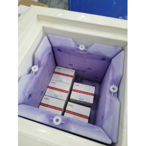 Infectious Disease Monkeypox Virus PCR Detection Kit CE Certified