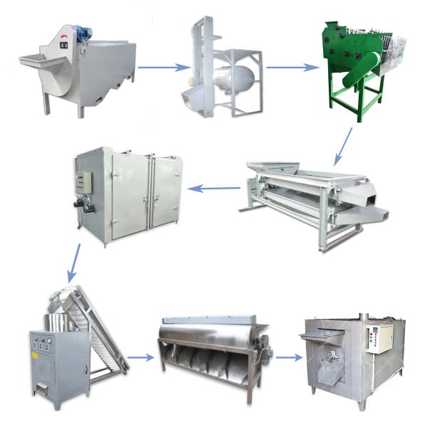 Wholesale Roasting Dryer Nuts Processing Machine Peeling Cashew Grading Machine from china suppliers