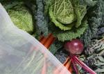 High Density Polyethylene Insect Protection Netting / Plastic Mesh Netting FDA