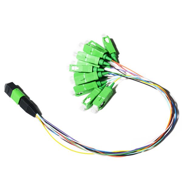 Multimode 8/12/24 Core LSZH 0.5m MPO MTP Patch Cord