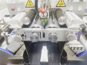 Wholesale Large Capacity Automatic Vgel Encapsulation Machine With Aluminum Cover from china suppliers