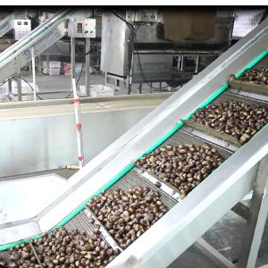 Wholesale 380V Intelligent Rotational Scanning Silver Chestnuts Sorting Machine 6 - 20 Lanes from china suppliers