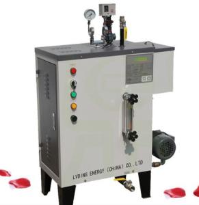China Portable Gas Powered Steam Generator Water Tube High Thermal Efficiency on sale