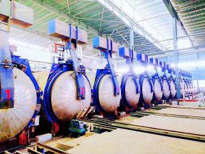 Customized Sand  fully automatic autoclave Building Materials Production Line for wood