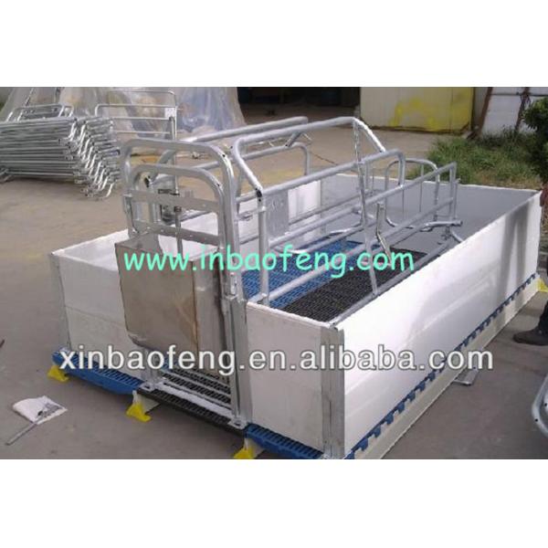 Anti Rust Pig Farrowing Crates For Animals Galvanized Pipe And PE Plate Materials