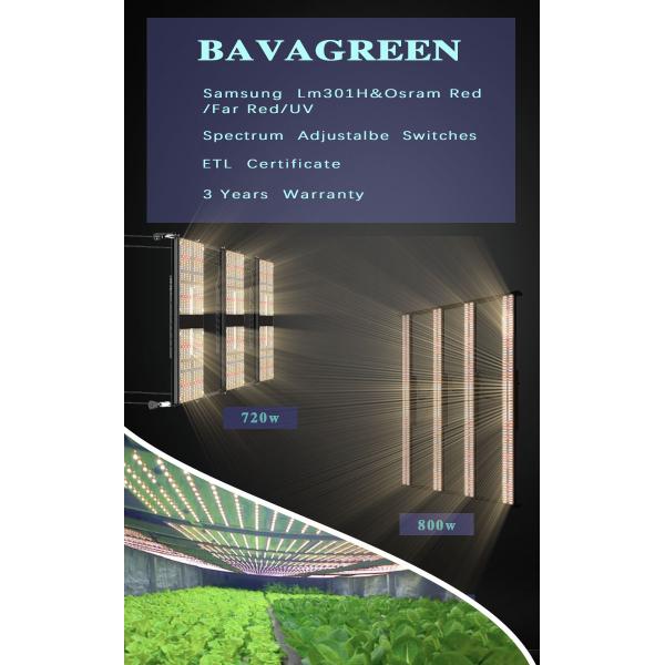 SAA IR LM301H LED Grow Light AC277V 800w Uva Uvb 5x5ft 4 Switches