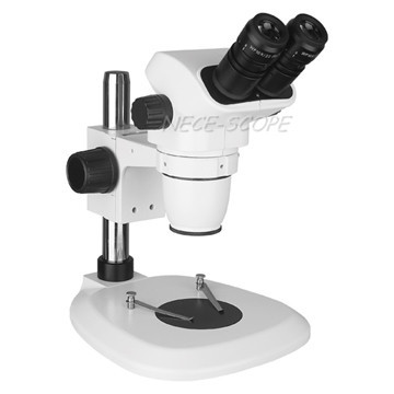 Wholesale Binocular Compound Diopter Adjustment Microscope For Botany Research from china suppliers