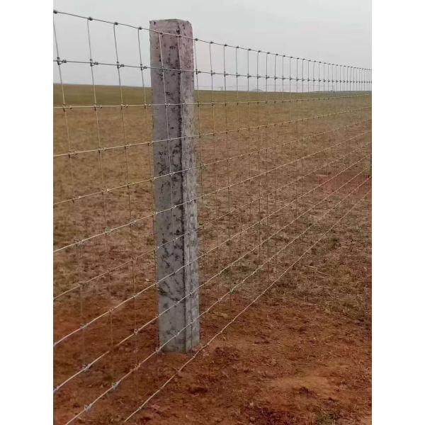 Professional Automatic Deer Fence Machine / Hinge Joint Knot Weaving Machine