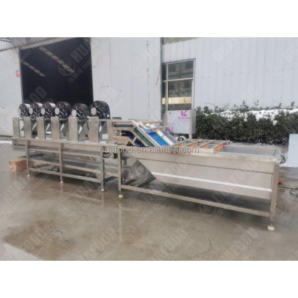 Fruit and vegetable sifter vibrates sifting kiwi, blueberry cherry tomato potato orange lemon sorting machine