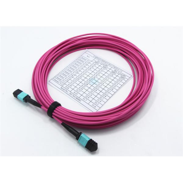 MPO Trunk Cable OM4 24F 3.0mm 50 / 125μm MPO Female MPO Patch Cable LSZH Violet Senko