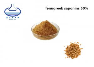 Wholesale high quality Fenugreek Seed Extract Fenugreek Saponins from china suppliers