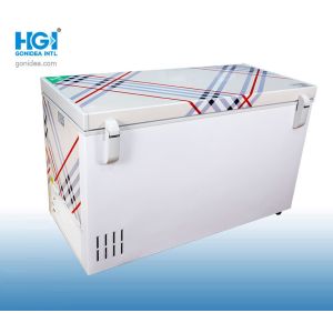 Minus 65C Ultra Low Temp Chest Freezer 300 Ltr