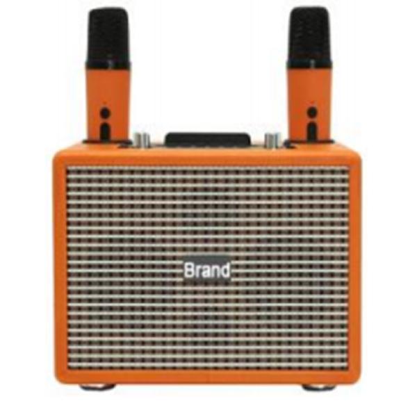 ETEK Dual LTK53101 Amplifiers with 3-inch Full-Range Speakers 40mm Tweeter and Dual Wireless Mics Home Karaoke Speaker