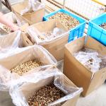 380V Efficient 1 Ton Walnut Shelling Machine With 90% Perfect Kernel Rate Output