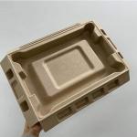 Custom Moulded Biodegradable Pulp Paper Packaging Insert Tray