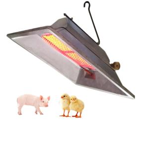 Wholesale Energy Saving Gas Brooder Heater High Efficiency 2.46 KW/h For Chicks Piglet from china suppliers