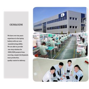Shenzhen Chunyilin Technology Co., Ltd.