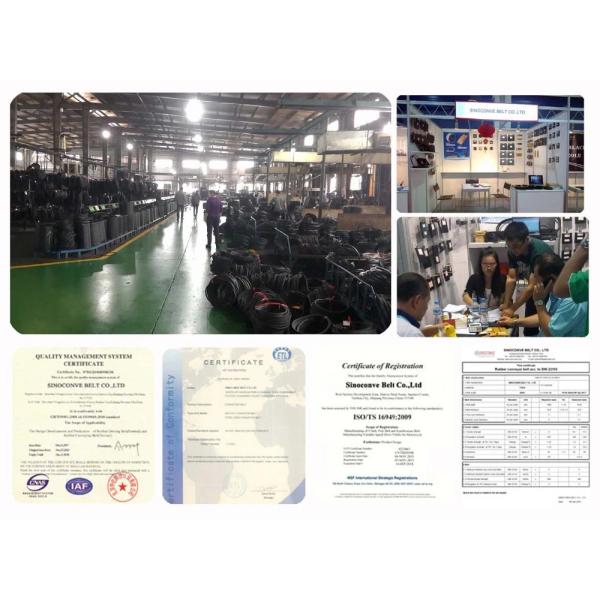 Stainless Steel roller conveyor manufacturing Online support for Conveyor Belt System