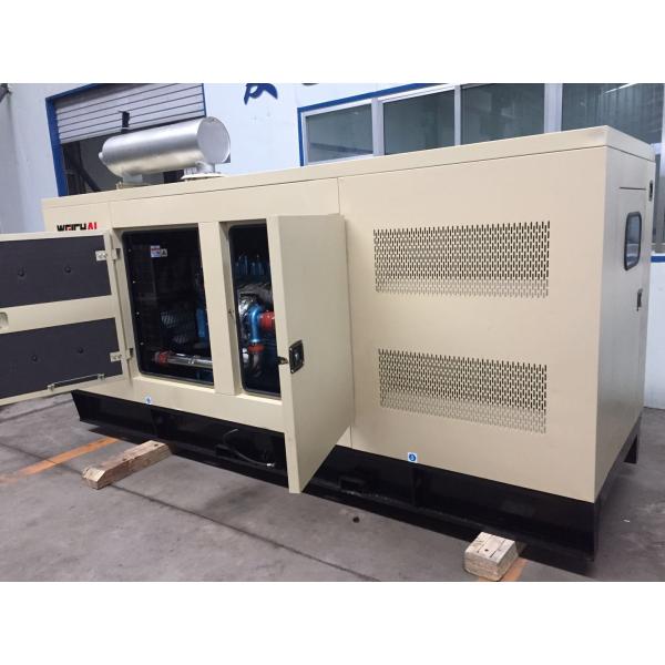 Marathon Alternator 230V Weichai Diesel Generator Set for Water-Cooling System Industry