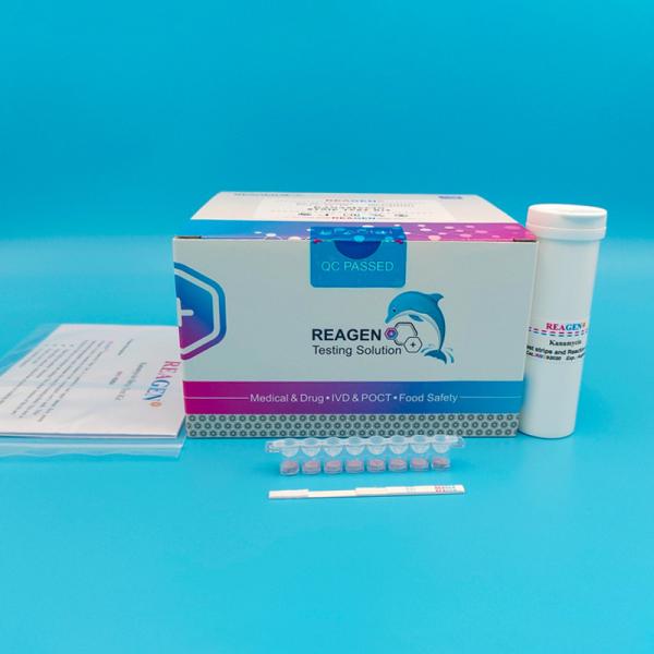 Wholesale High Accuracy Kanamycin Strip Test Kit With Sensitive Detection Capability from china suppliers