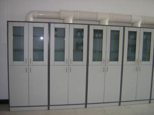 China Customized Tall Storage Computer Lab Furniture , 2 Door Chemical Storage Cabinet on sale