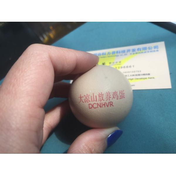 Drag Type Operation Egg Batch Printing Machine Continuous With 1 - 8 Lines Date