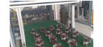 Stator Winding Machine Estatores 2 Pole Field Coil Fully Automatical Custom Made