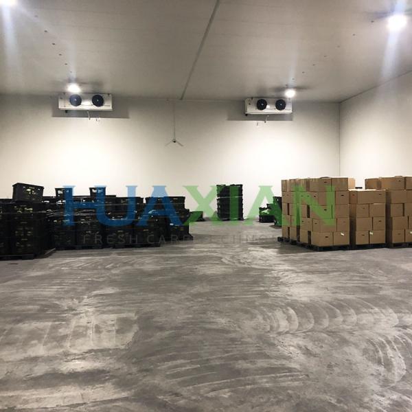 Industrial Logistics Fish/Seafood/Meat/Chicken Freezer Cold Room Construction for Frozen Food