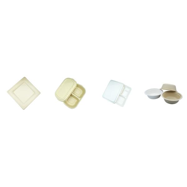 Latest Paper Pulp Tableware Machine Biodegradable Lunch Box Making Machine