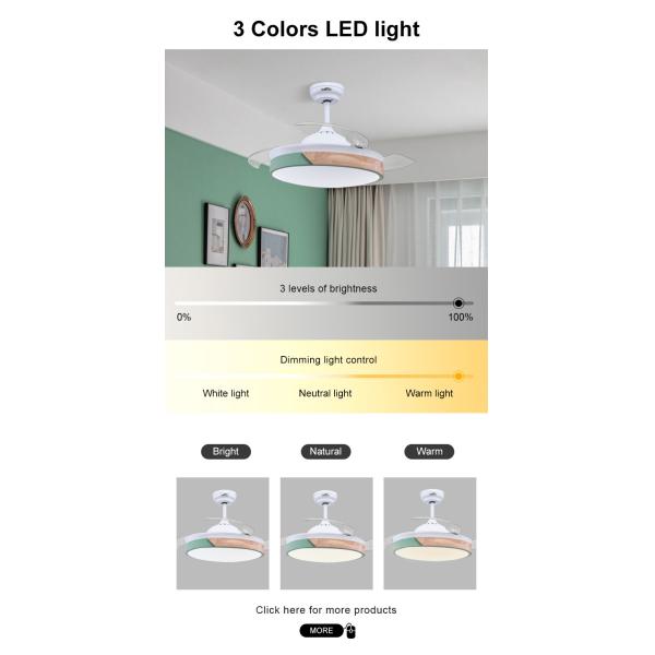 Color Temperature Options 42 Inch Ceiling Fan with Hidden Blades and Remote Control