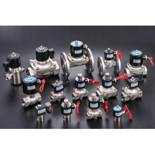 AC 220V 3/4 Inch Brass Electric Solenoid Valve For Hot Water NC