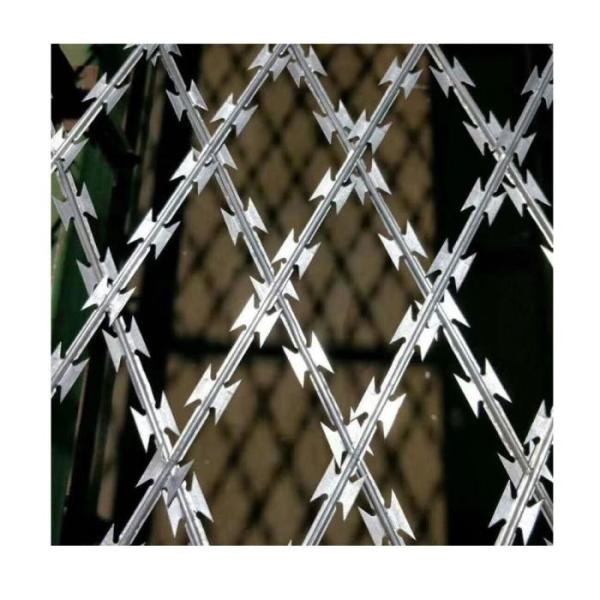 Quality Customizable Security Barbed Wire Prison Fence  1.8-2.4m Height for sale