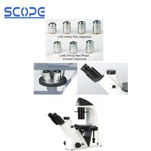 Wholesale Live Cell Inverted Biological Microscope , Inverted Compound Microscope from china suppliers