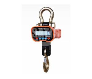 OCS-A 1t to 20t general type crane scale