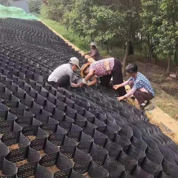 50mm-250mm Height HDPE Retaining Wall Road Reinforcement Geocell for Landslide Support