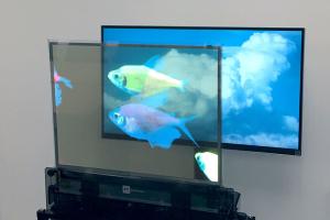 Wholesale High Brightness OLED Transparent Display , Full Color Clear OLED Screen Multipurpose from china suppliers