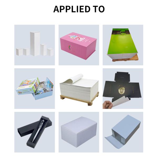 Uncoated White Folding Box Board C1S FBB Jumbo Roll for Eco-Friendly Packaging