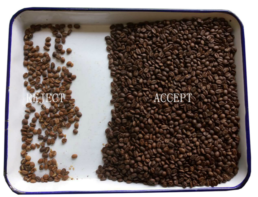 Intelligent CCD Chutes Coffee Bean Color Sorting Machine Coffee Bean Color Sorter