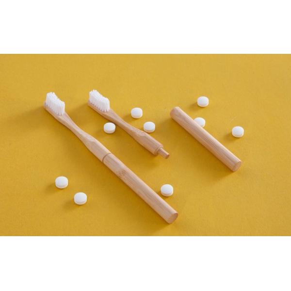 Environmental 250 Pack Dental Toothpaste Tablets Dentist Recommended