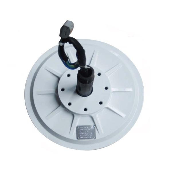 Quality Rare Earth Magnet for Customized AFPMG520-1.0KW/90RPM Inner Rotor Wind Generator for sale