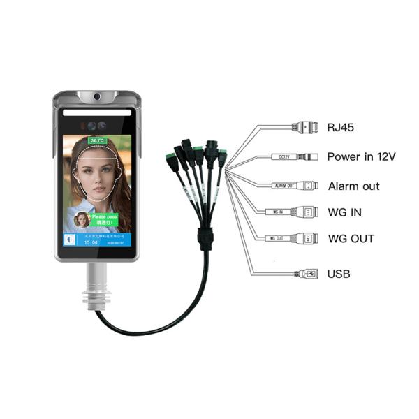 Quality Linux Ip65 Face Recognition Terminal With Temperature Measurement for sale