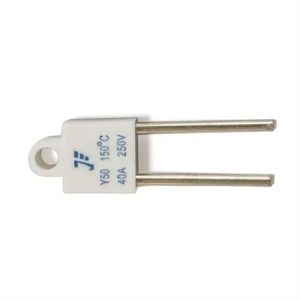 Square Type Squareness 20A 30A 40A Ceramic Temperature Fuse Thermal Fuse