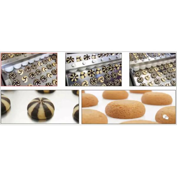 Stainless steel cookie machine with tray produce two color cookies