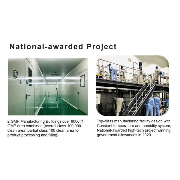 Pineapple Flavor Powder 500g for Biscuits and Confectionery