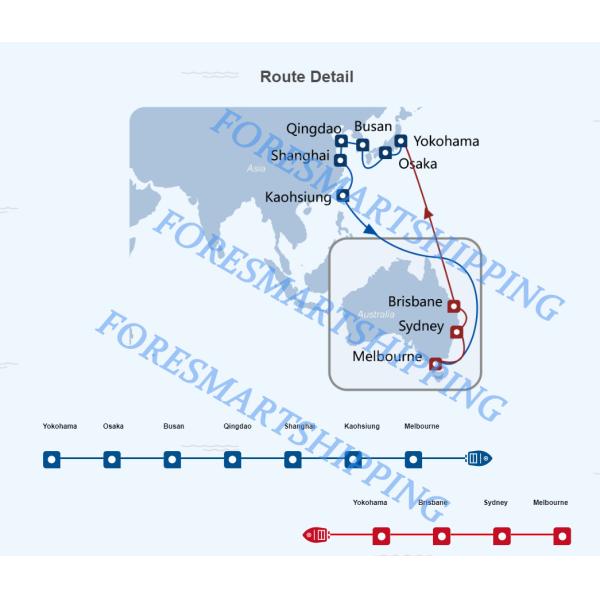 Container Shipping Shenzhen To Australia LCL Freight Forwarder