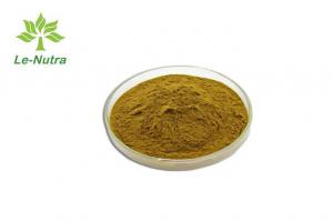 China Yellow Fine 98% Herbal Kaempferol Extract From Fruit Part on sale
