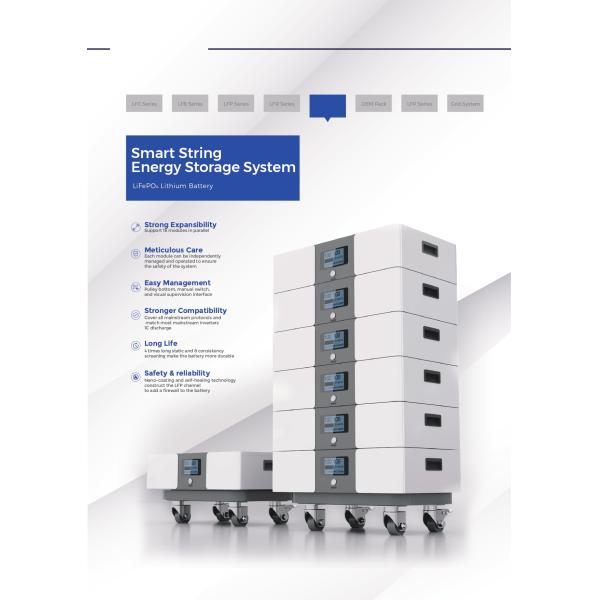 High Capacity Lithium Battery 51.2V 400AH 5kWH Smart String Energy Storage System For Household Power Support